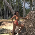 Black Babe Latina